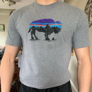Patagonia T-Shirt